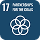SDG 17